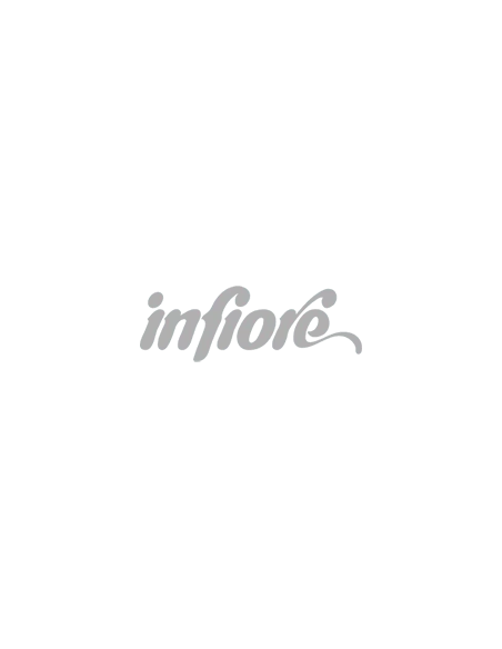 Infiore