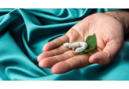 L'Importanza dei Materiali: Scegliere i Tessuti da Seta a Microfibra